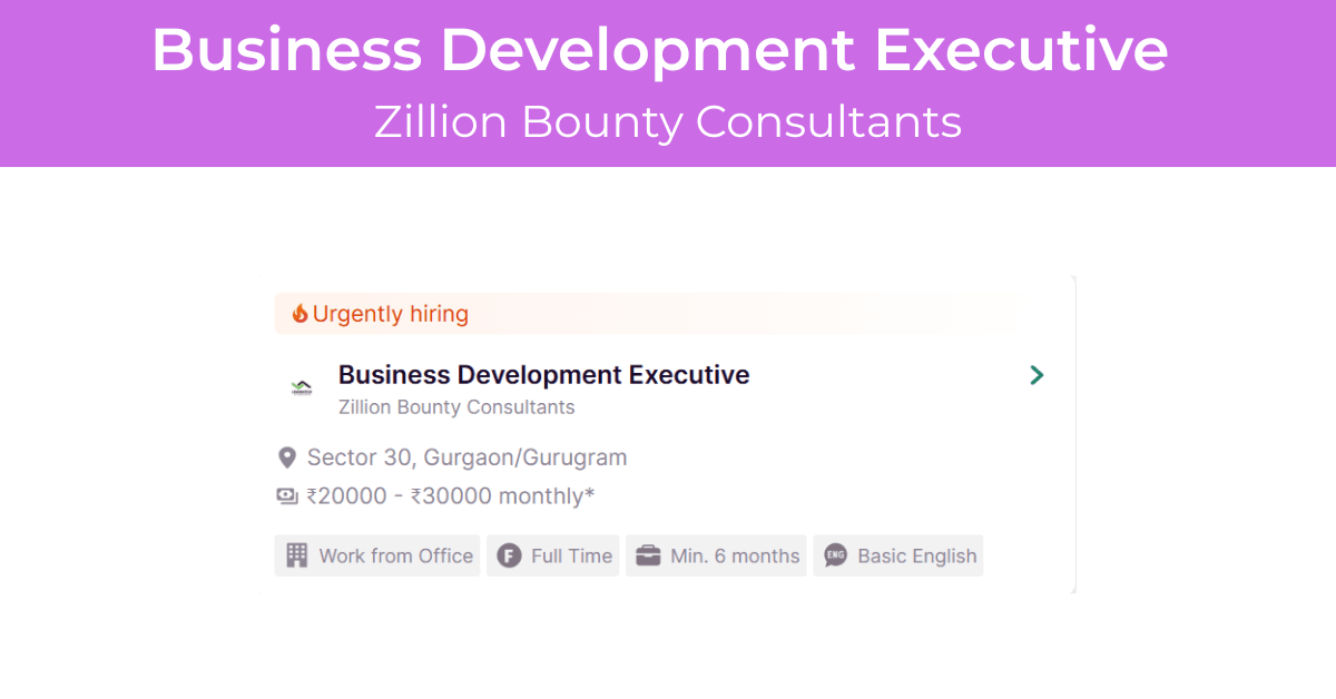 Business Development Executive Job at Zillion Bounty Consultants